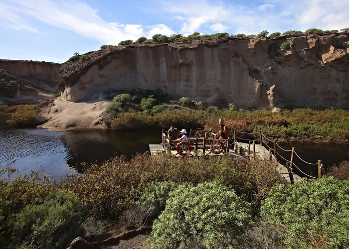 Barcelo Tenerife 호텔 5*